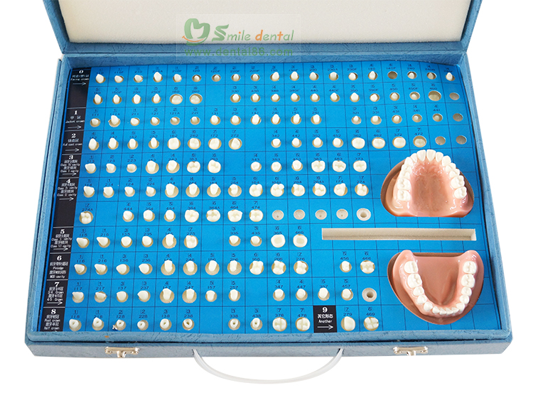 TM-G14 Teeth Preparation